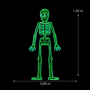 Medidas de la Figura LED decorativa gigante en forma de Esqueleto color verde para adornar día de muertos con manguera LED neón