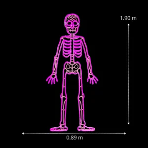 Medidas de la Figura LED decorativa gigante en forma de Esqueleto color rosa para adornar día de muertos con manguera LED neón