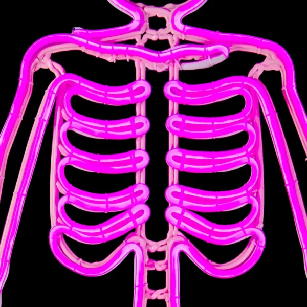 Figura LED gigante para decoración en forma de Esqueleto color rosa para adorno de día de muertos ya incluye Manguera LED Neón resistente a intemperie e interiores