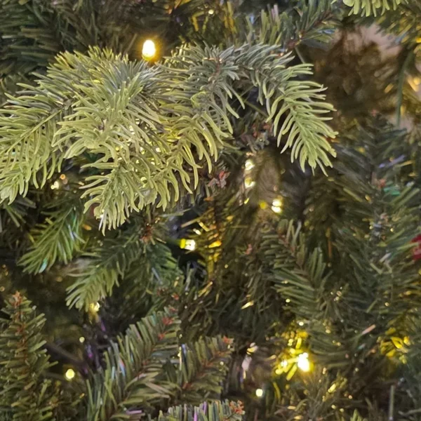Árbol Destello - Imagen 3