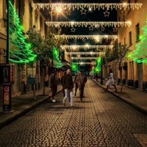 La figura LED Pino Navidad gigante se puede montar en calles, avenidas, postes, fachadas, parques, plazas públicas, centros comerciales y hoteles