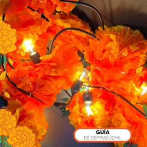 Guía de Cempasúchil