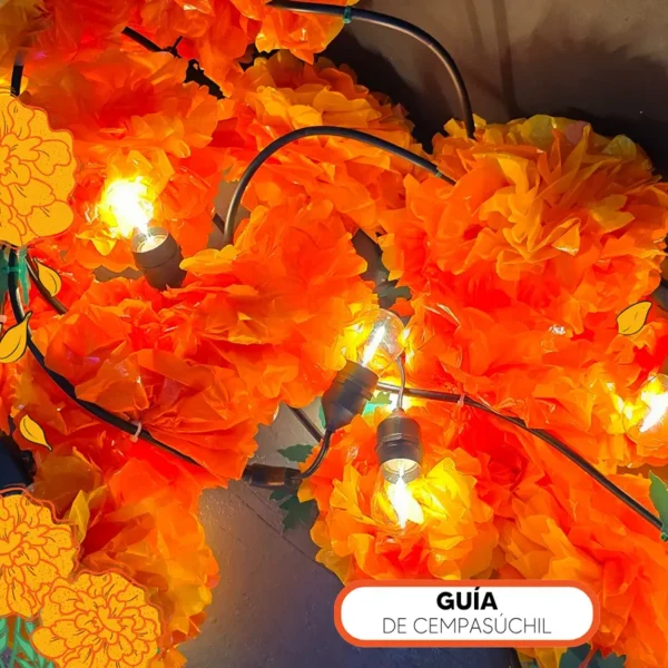Guía de Cempasúchil