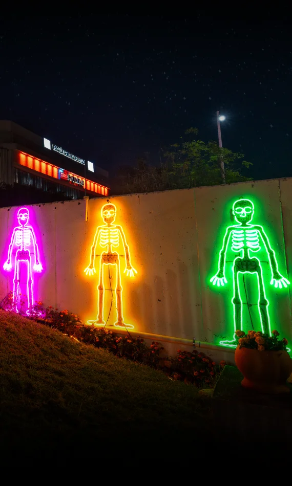 Cliente con proyecto adorno día de muertos en México