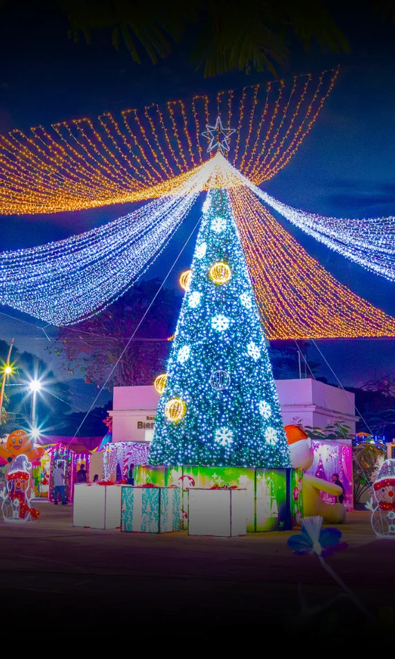 Cliente satisfecho proyecto árbol gigante de navidad