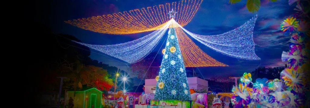 Cliente satisfecho con proyecto de iluminación monumental en Navidad