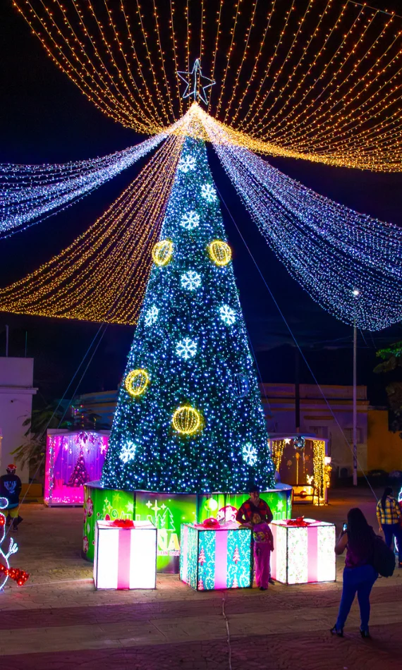 Cliente proyecto adorno de navidad monumental