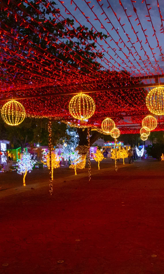Cliente con proyecto de iluminación gigante