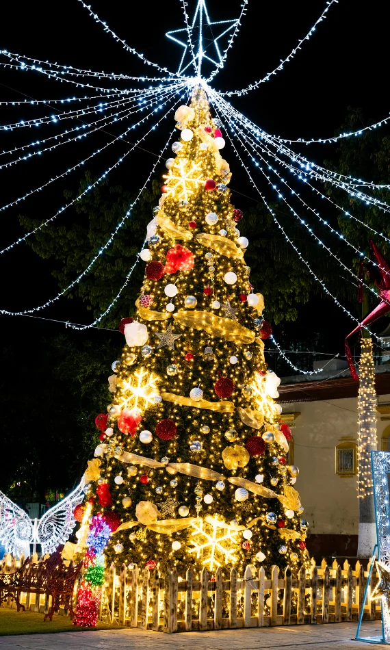 Cliente con proyecto de adornos gigantes y series led