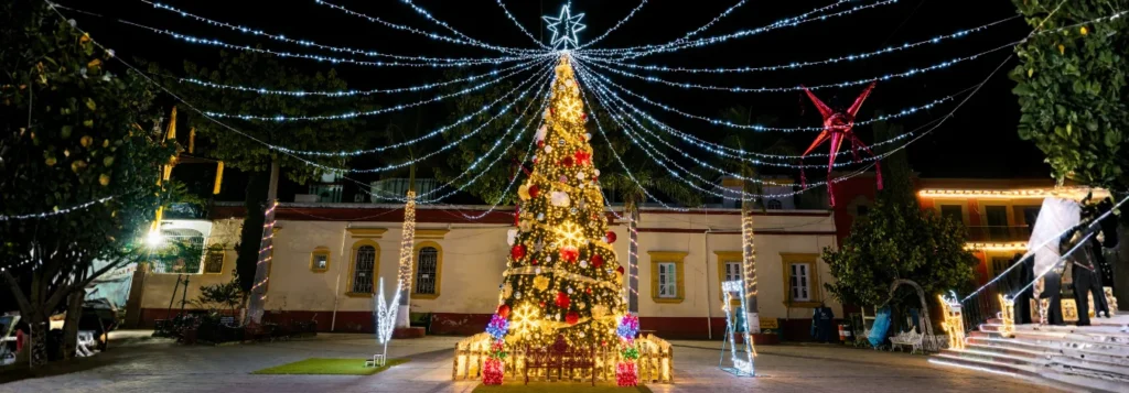 Cliente satisfecho con su proyecto de iluminación monumental con árbol gigante y series LED