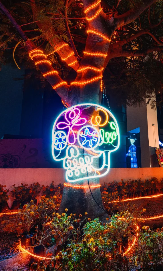 Cliente con proyecto municipal de adorno en día de los muertos