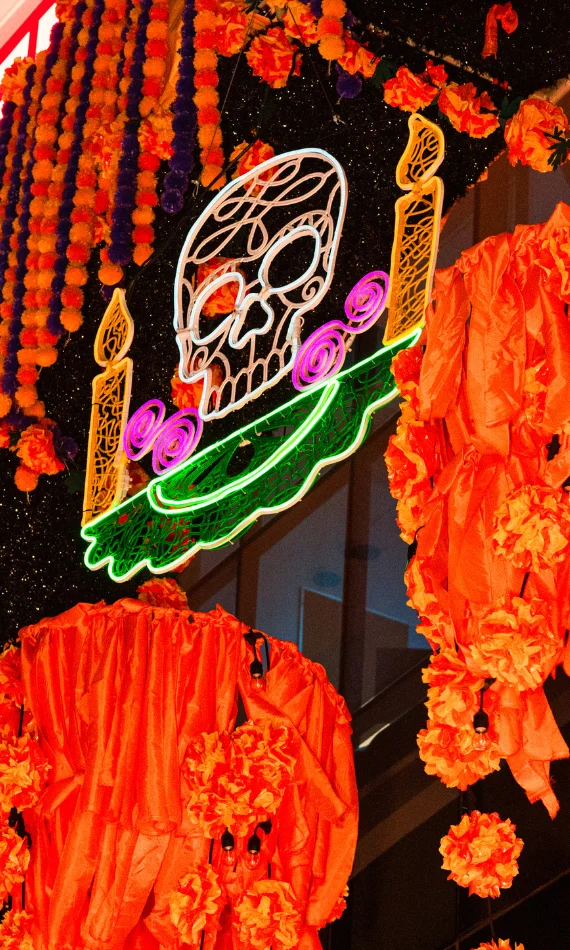 Cliente con proyecto de iluminación monumental en Halloween