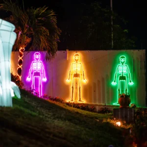 Figura LED decorativa grande para exterior en forma de Esqueleto en color verde para adorno de día de muertos en calles, avenidas, fachadas, presidencias municipales, parques, centros comerciales y plazas comerciales