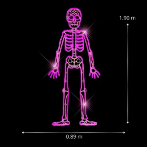 Medidas de la Figura LED decorativa gigante en forma de Esqueleto color rosa para adornar día de muertos con manguera LED neón 89 centímentros de ancho por 190 centímetros de alto