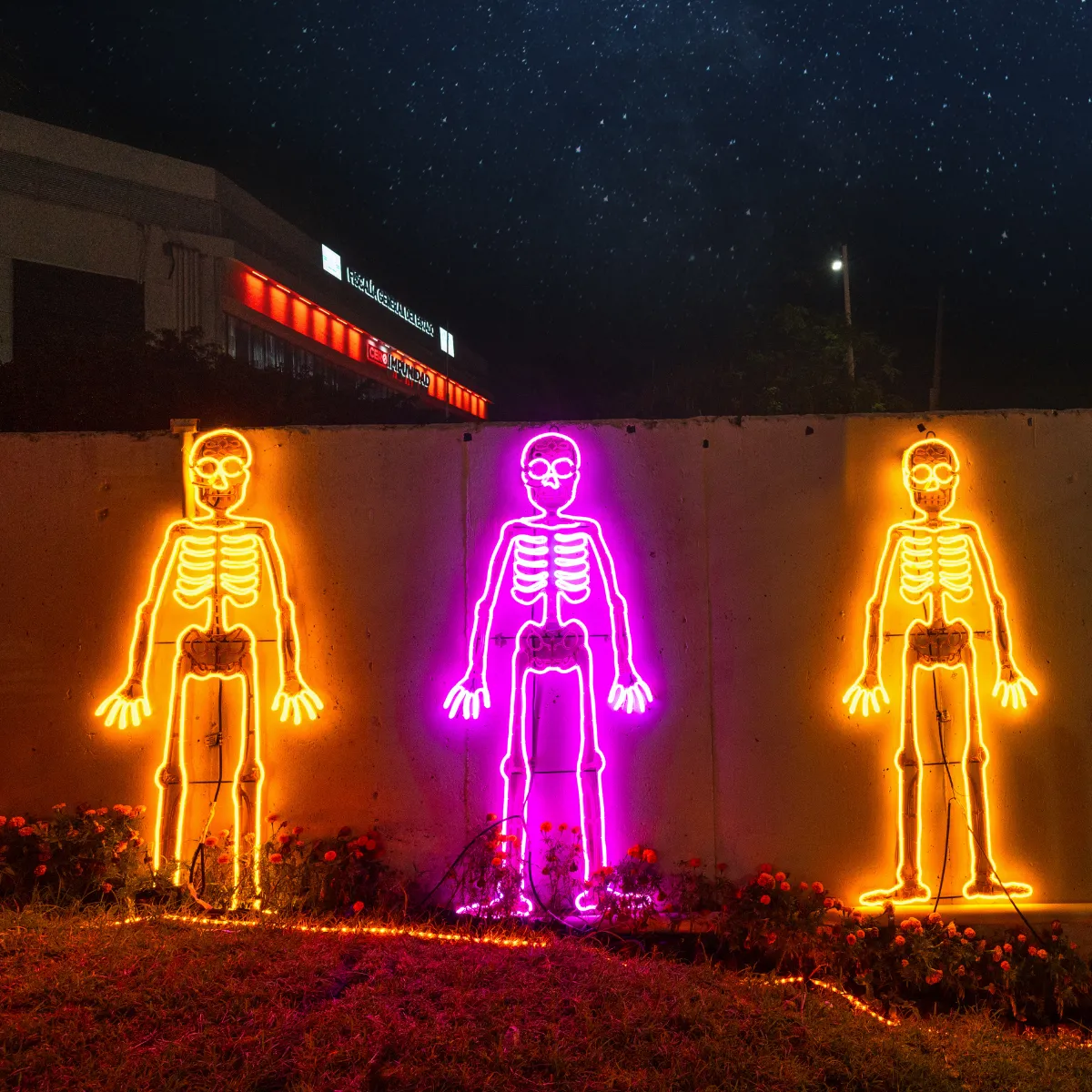 Figura LED decorativa grande para exterior en forma de Esqueleto en color naranja para adorno de día de muertos en calles, avenidas, fachadas, presidencias municipales, parques, jardines, centros comerciales y plazas comerciales