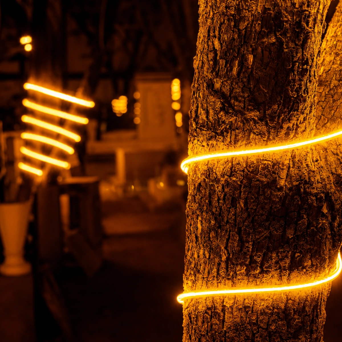 Manguera LED neón ámbar instalada decorando troncos de árboles en exterior nocturno