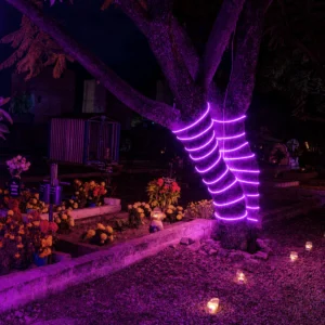 Manguera LED neón morada instalada decorando troncos de árboles en exterior nocturno