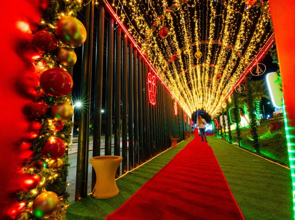 Fabricante de luces Navideñas en México