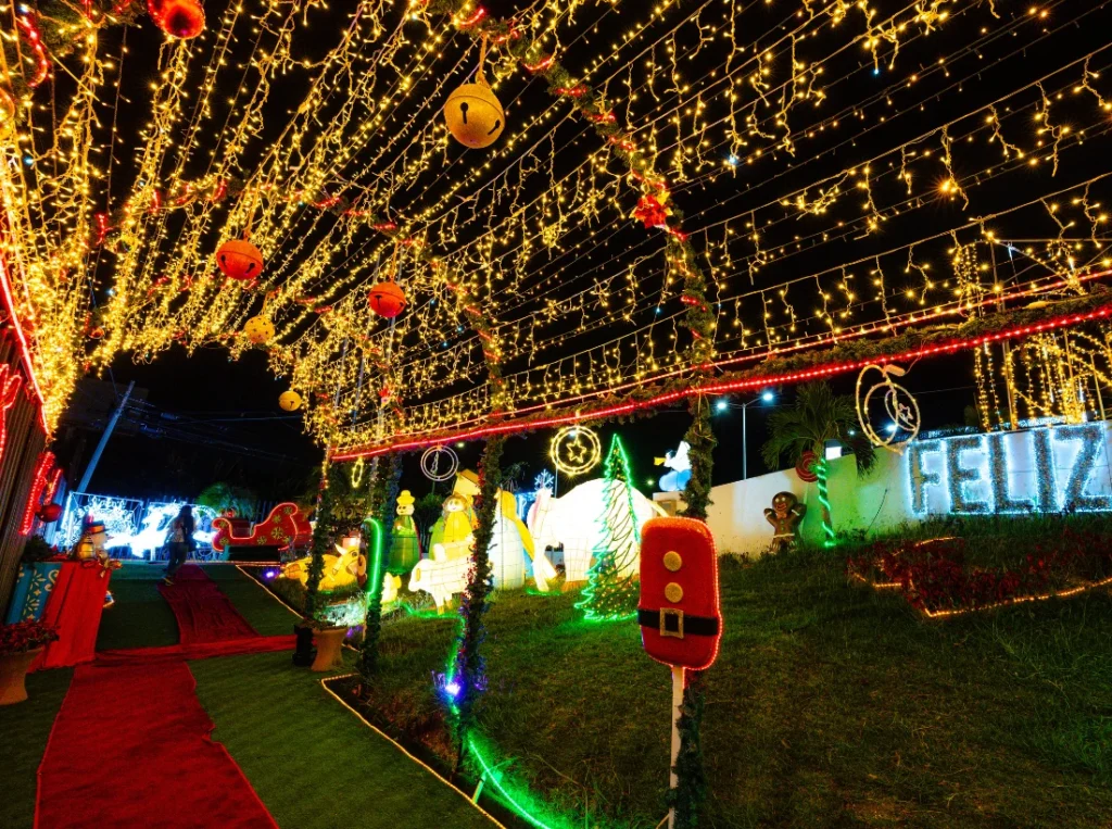 Fabricante por mayoreo de luces LED y adornos LED