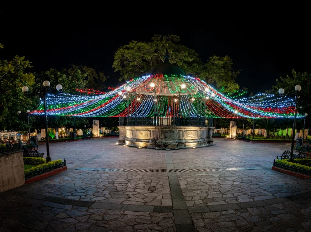 Proveedor de series, mangueras navideñas en México